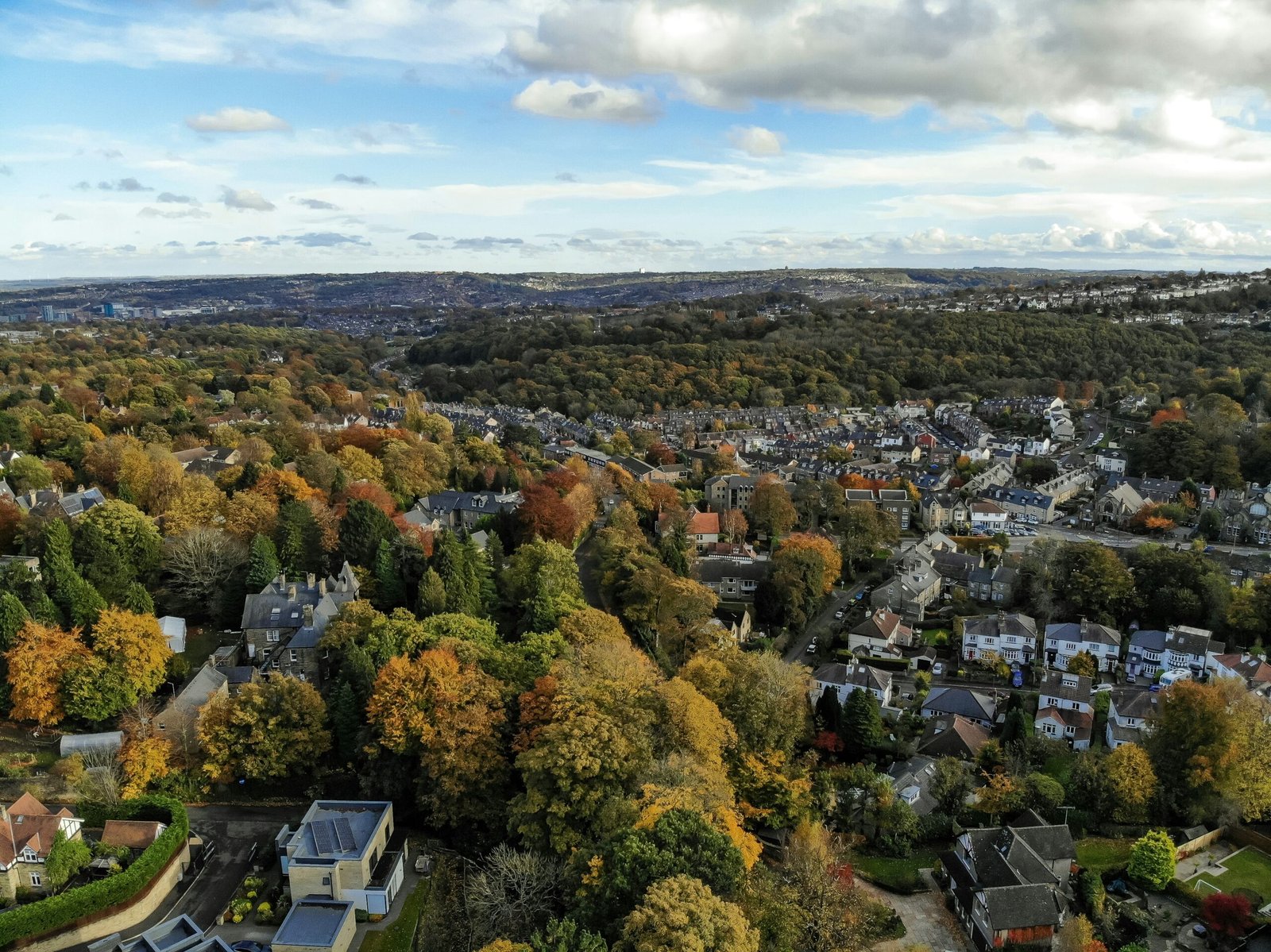 where to buy in sheffield